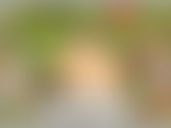 NOTE de recherche SUR LE DJIHAD DU MACINA