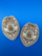 Thumbnail: PPPD Wood Magnet