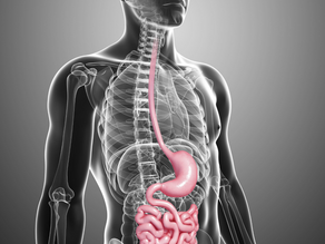 Parasympathetic Tips - Turning the Dial Down