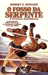 O Fosso da Serpente - Howard