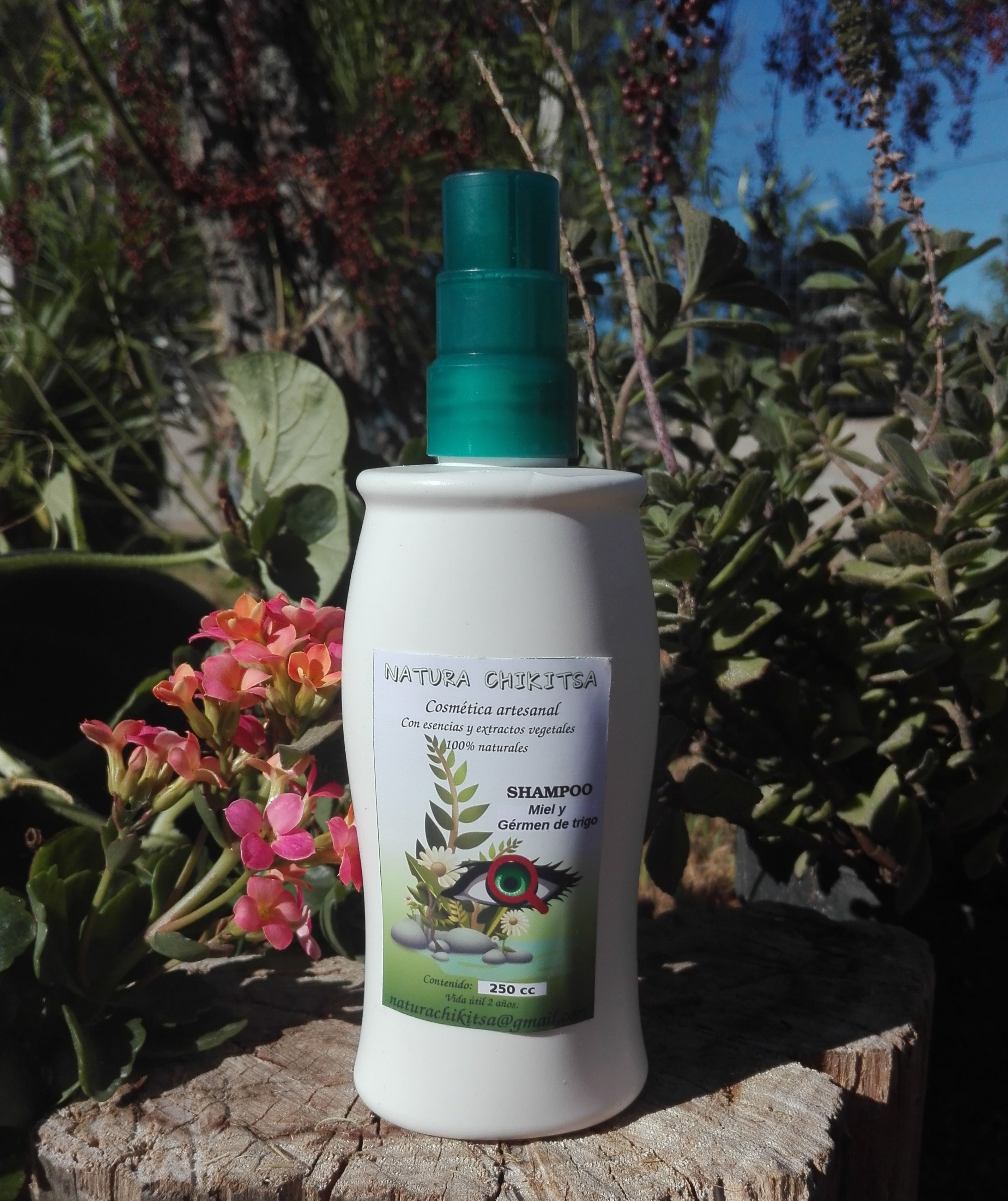 Shampoo para Cabello desnutrido de Miel y Gérmen de Trigo