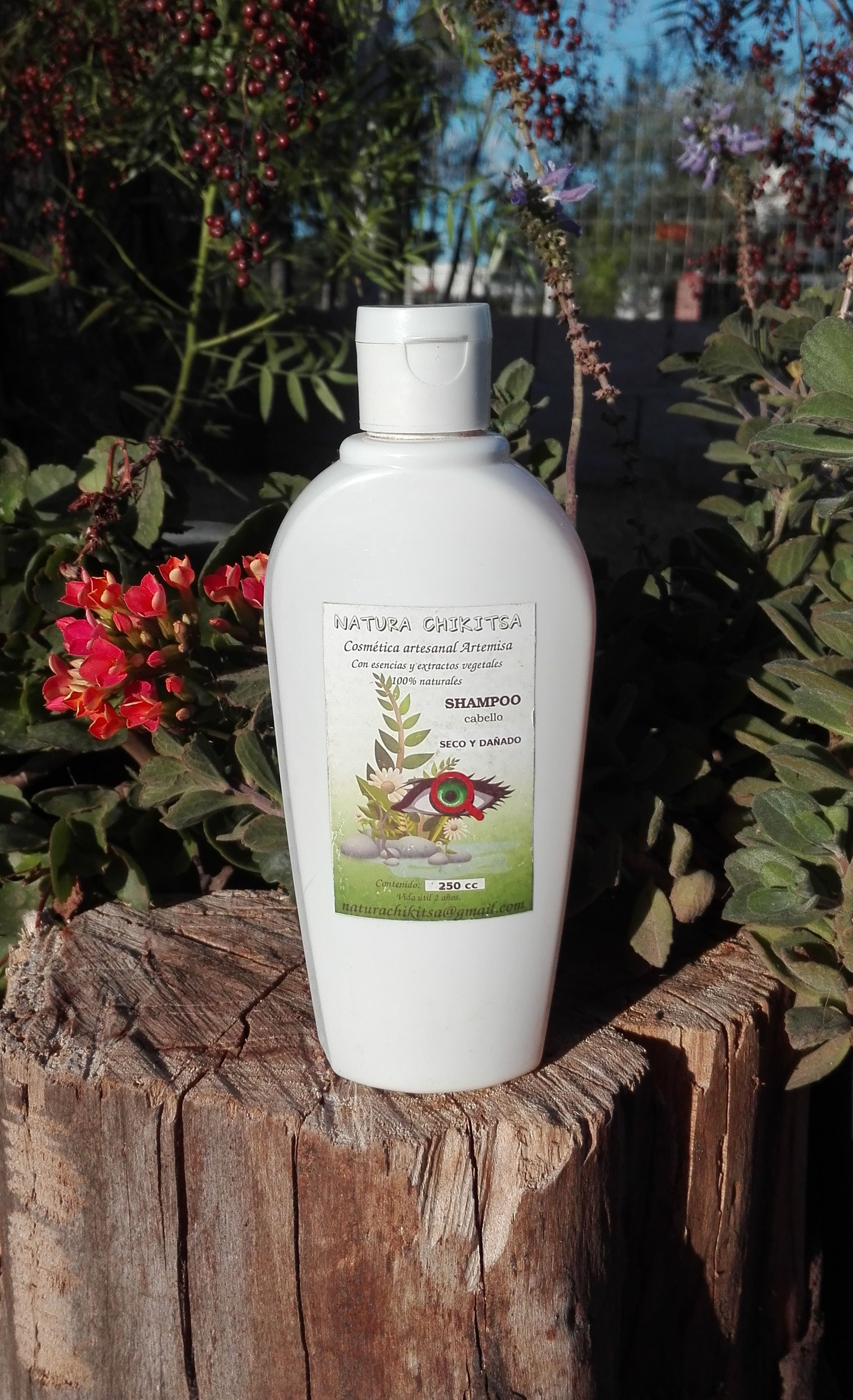 Shampoo para Cabello Seco y dañado