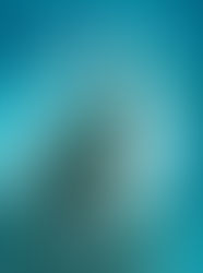 Juin 2020, découvrez notre sélection !