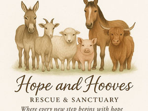 Why It Matters: Saving Animals from the Auction Pipeline