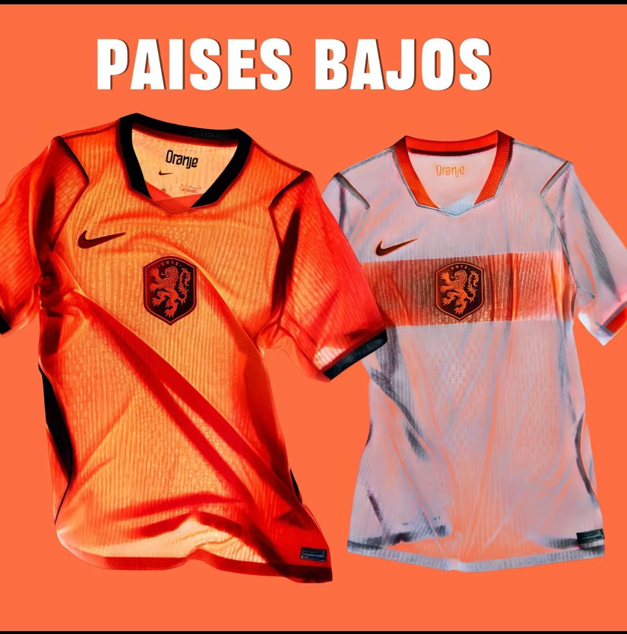 Paises Bajos