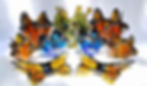 072C2A3C-0D81-40C8-8190-AF6A7E4906CA_1_201_a.jpeg