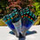 Thumbnail: Red Spotted Purple Admiral