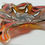 Thumbnail: Atlas Atticus Moth Centerpiece Bowl