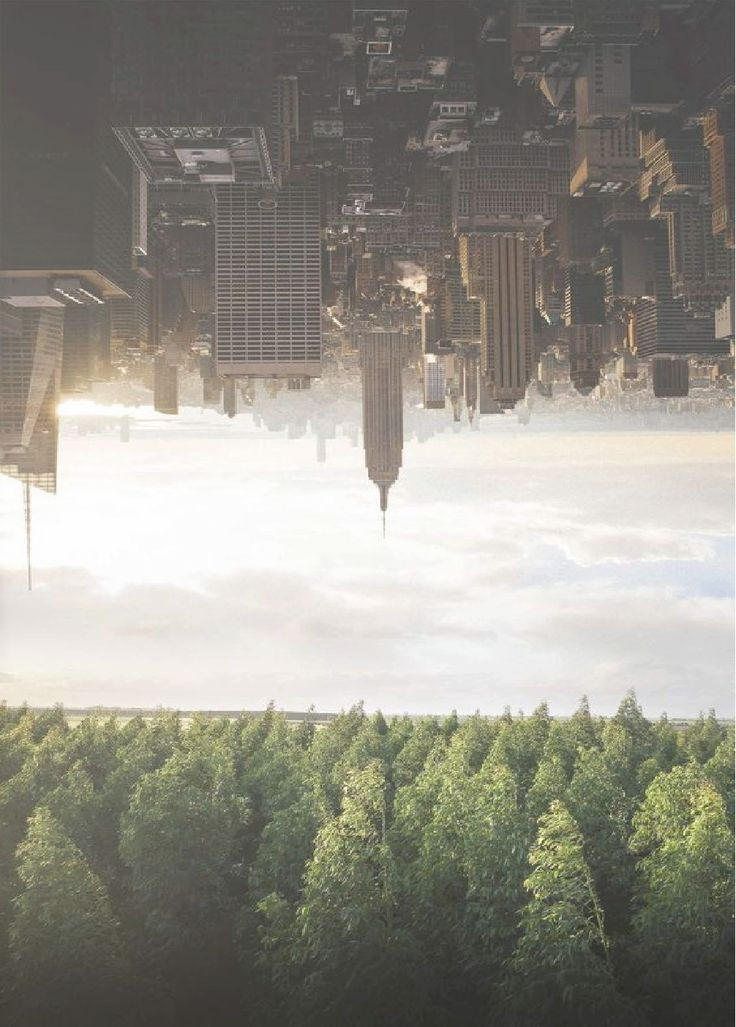 ENVIRONMENTAL PLANNING: BENCHMARKING FROM THE C40 CITIES.
