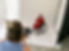 Female wearing a red dress sitting in a manual wheelchair getting her photo taken. The bac