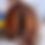 Thumbnail: Haapa Woodfired Sauna