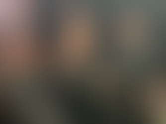 The Ariston Band Introduction