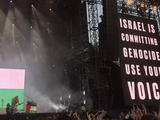 Gig Review: Wallows & Fontaines D.C. at Rock En Seine Festival