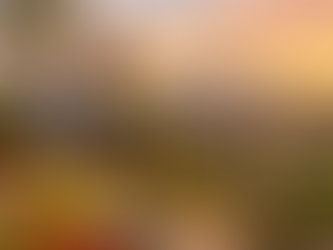 A Trusted Guide for Your Fallbrook Real Estate Journey