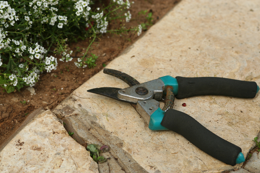 Tijeras de jardinería