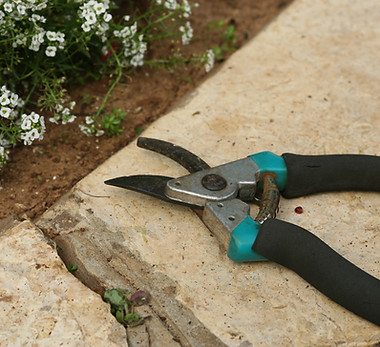 Gardening Shears 