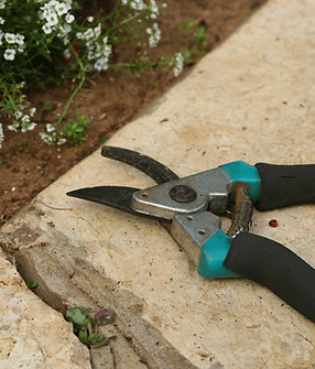Gardening Shears 