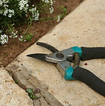 Pruning Shears