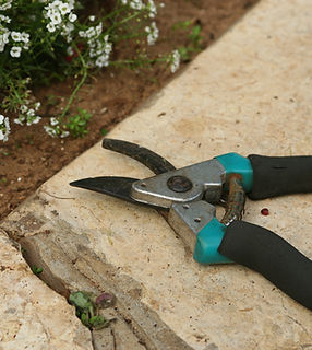 Gardening Shears 