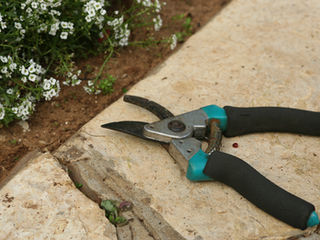 Keep Your Tools Clean
