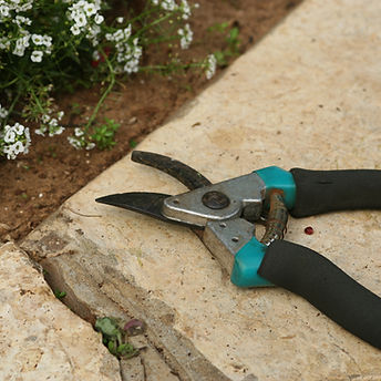 Gartenscheren 