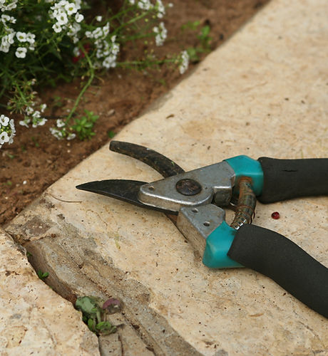 Gardening Shears