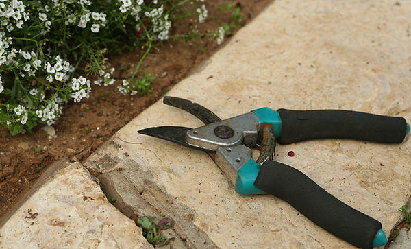 Landscaping Saxonburg Butler Mars Cranberry Wexford Seven Fields
