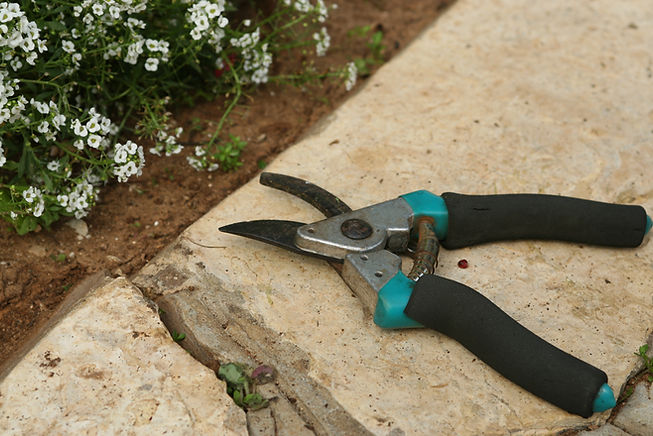 Gardening Shears 