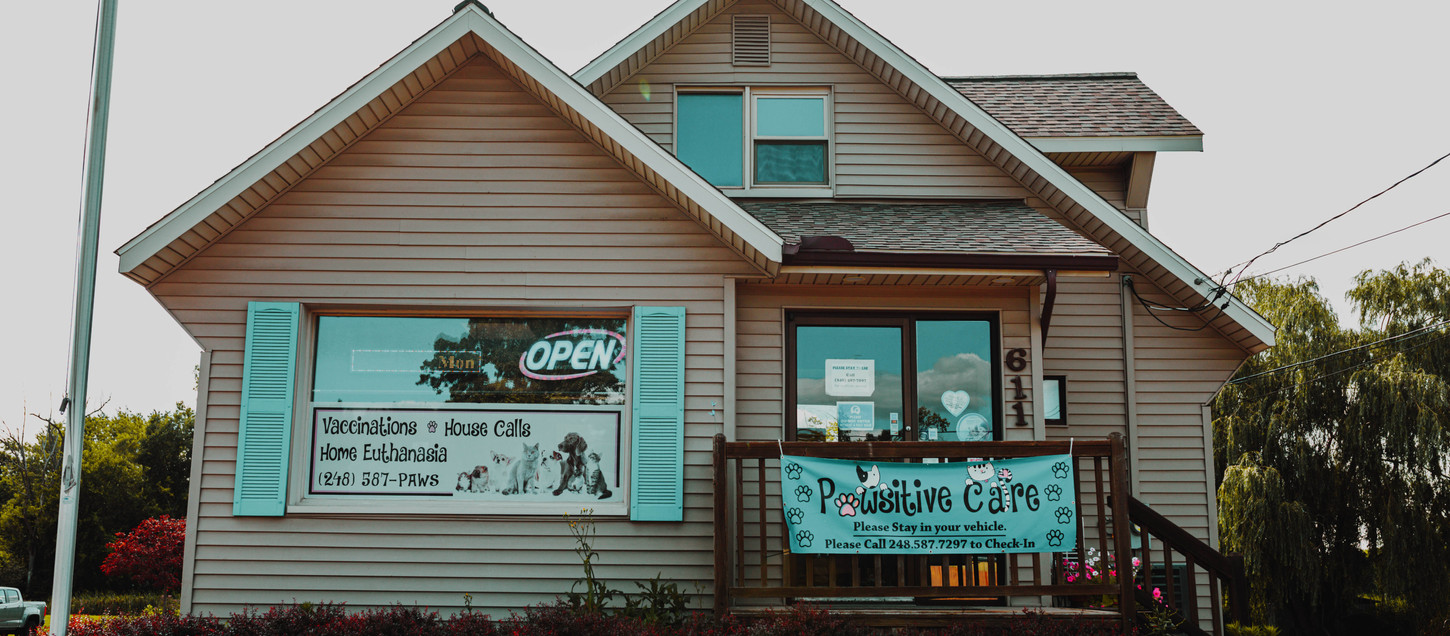 Pawsitive Care Affordable Pet Clinic Veterinarian Holly