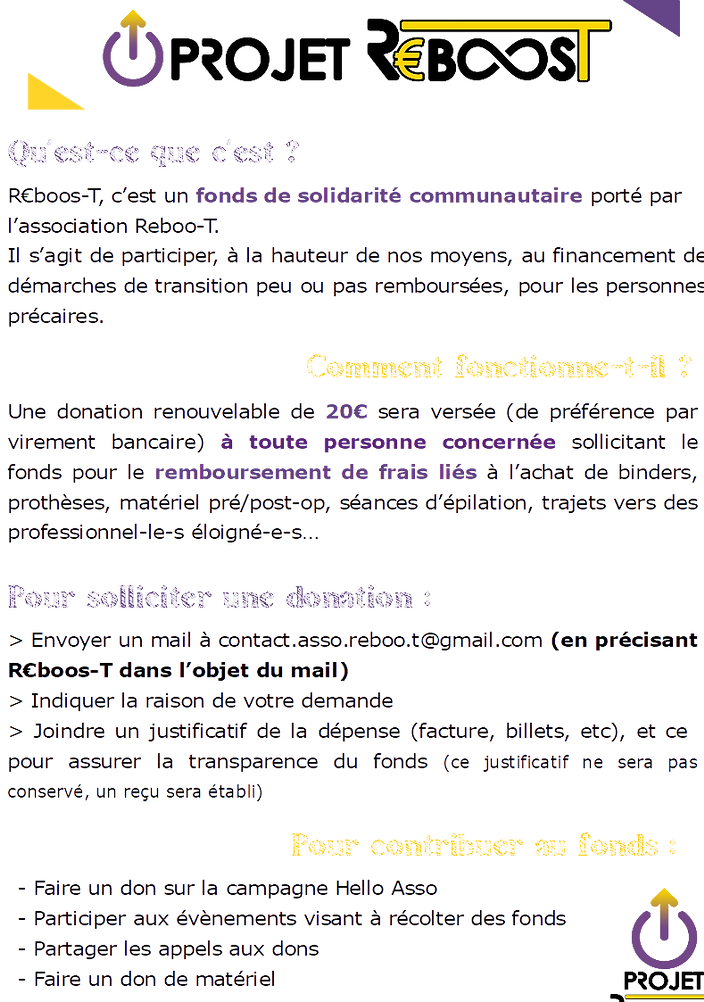 Flyer R€boost.png