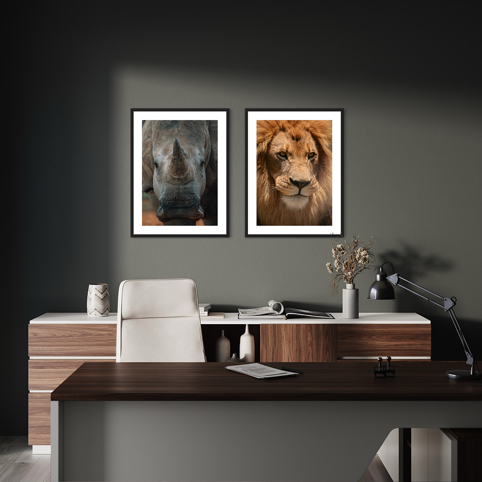 Miniaturbild: Wildlife Collection - White Rhino II