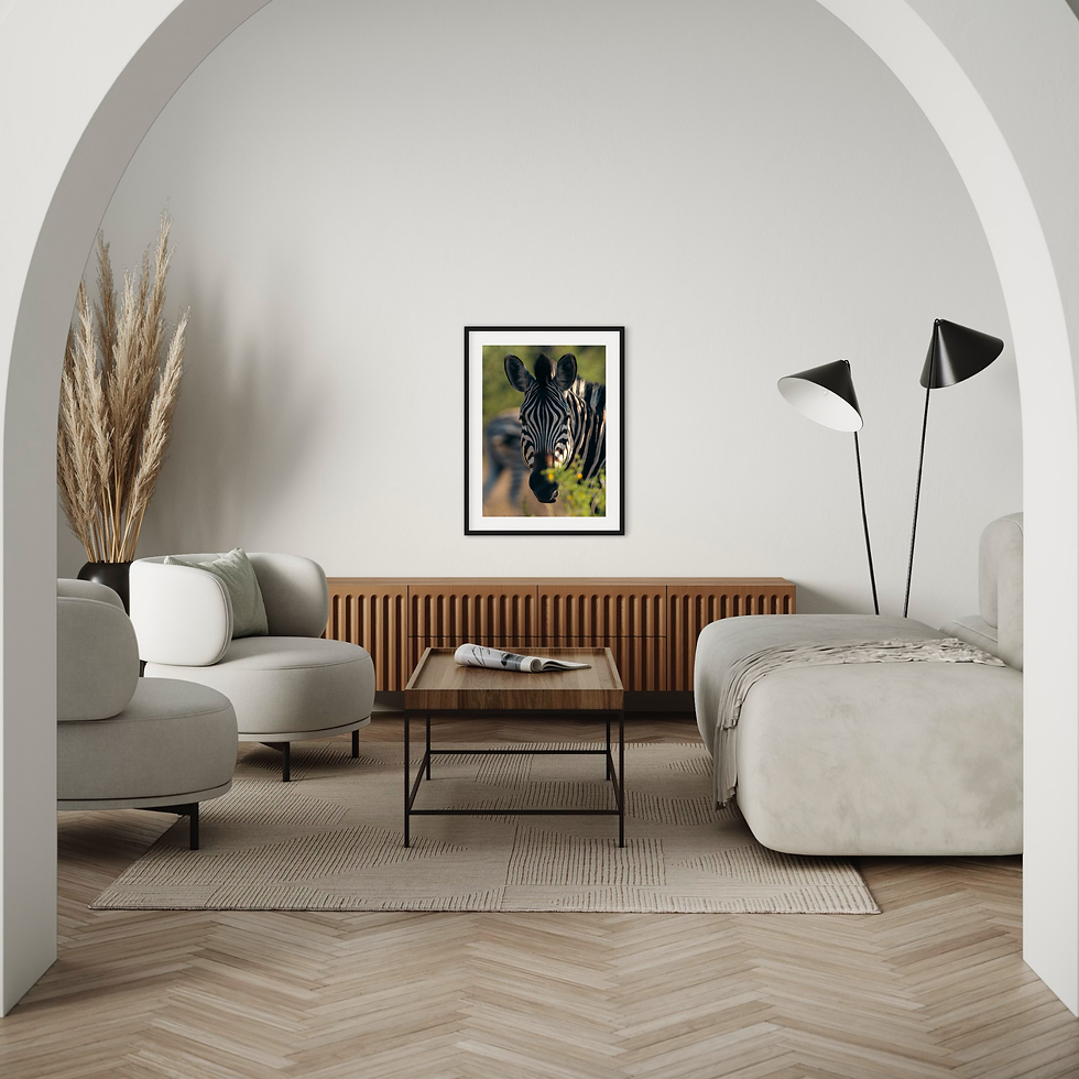 Miniaturbild: Wildlife Collection - Zebra I