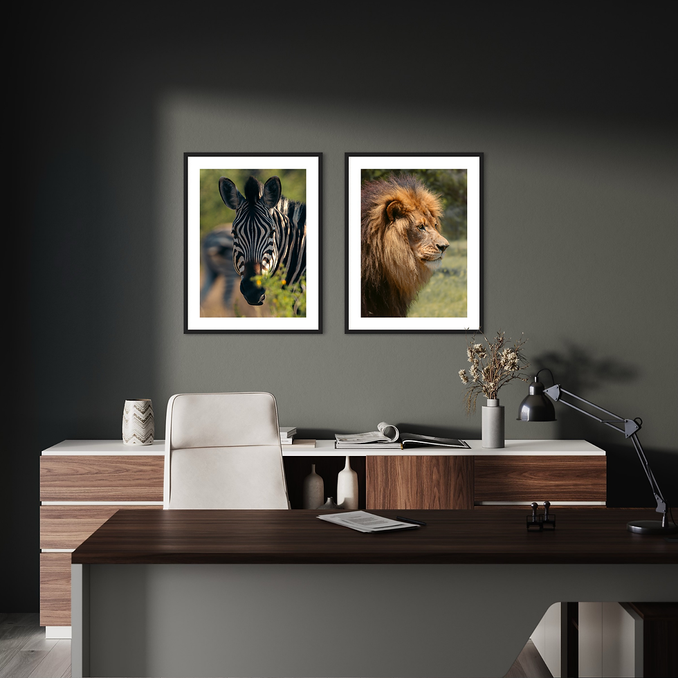 Miniaturbild: Wildlife Collection - Zebra I