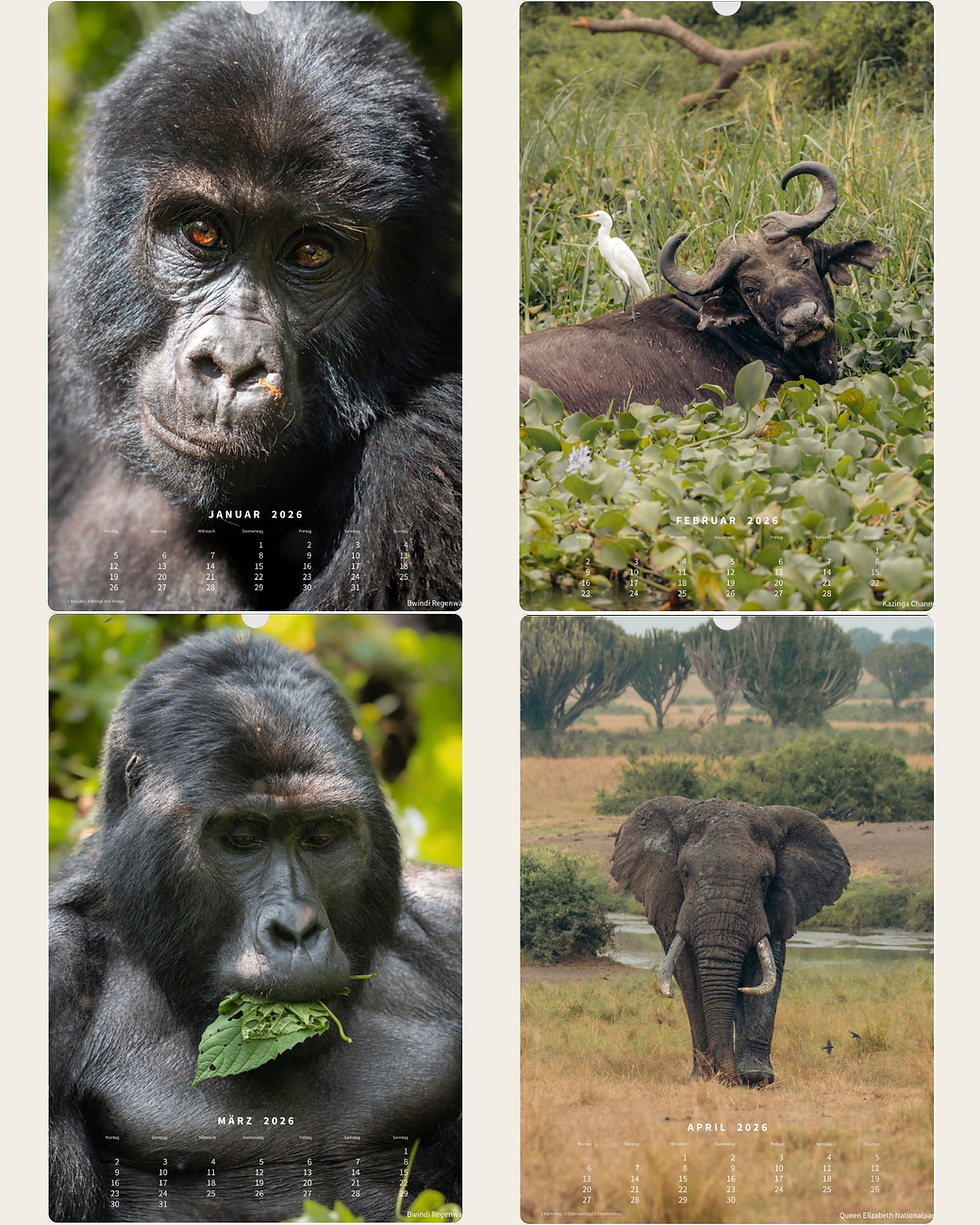 Miniaturbild: Kalender 2026 - Uganda