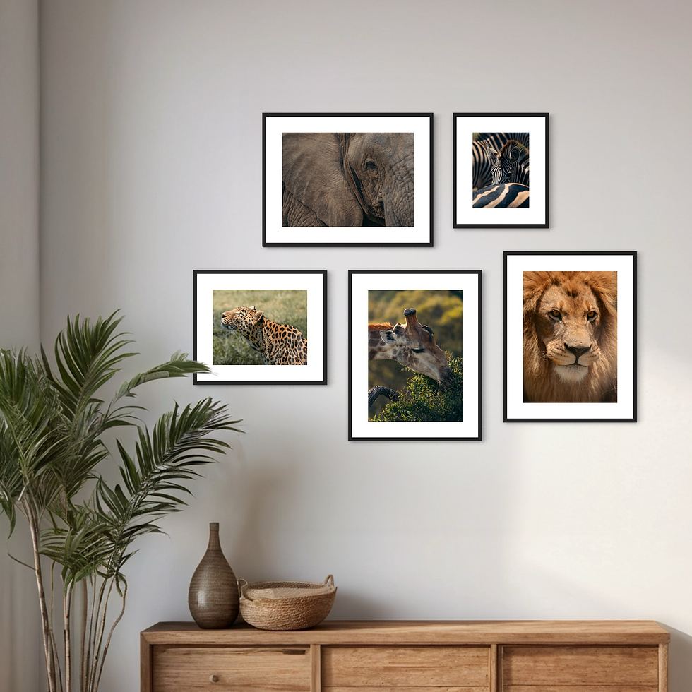Miniaturbild: Wildlife Collection - Giraffe I