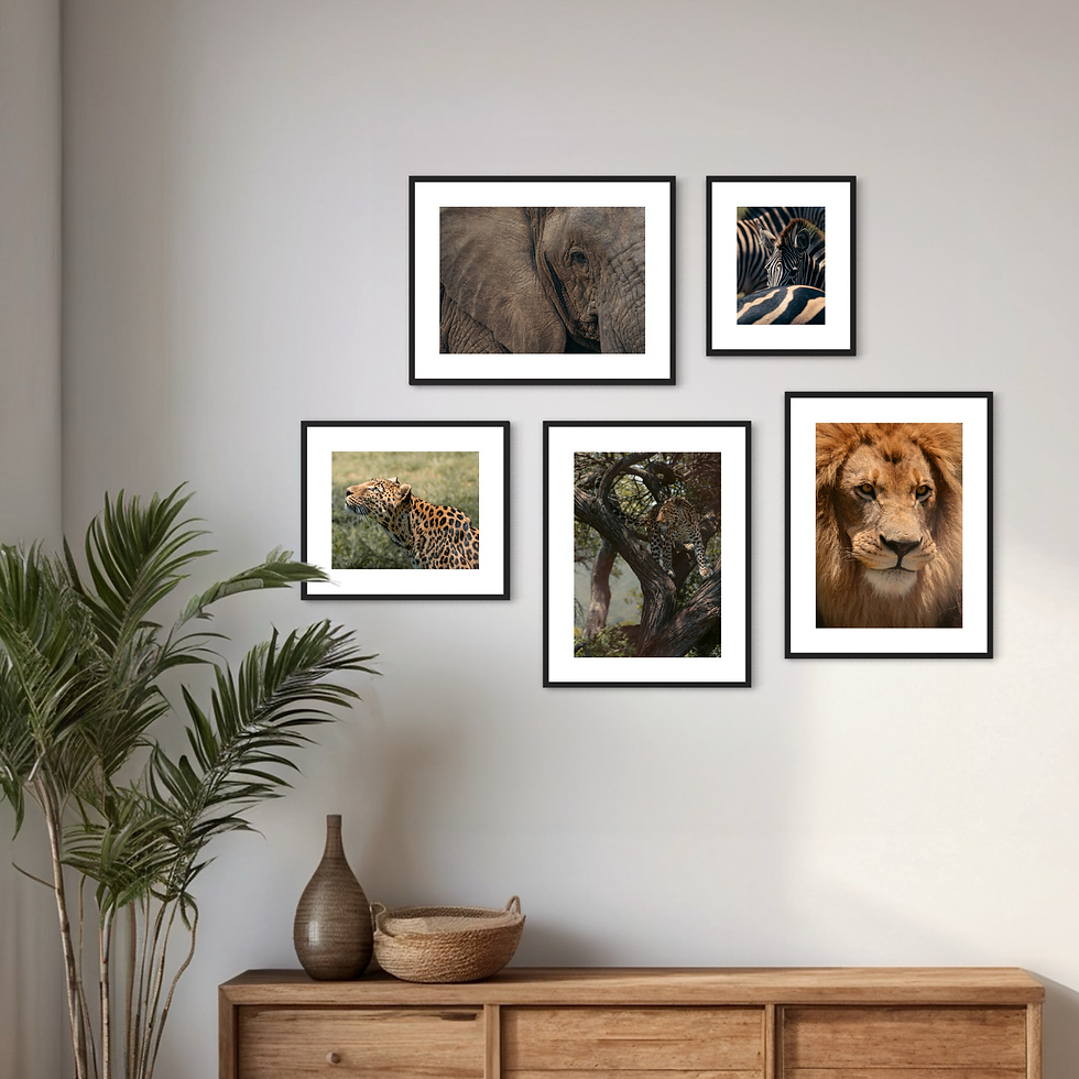 Miniaturbild: Wildlife Collection - Leopard I