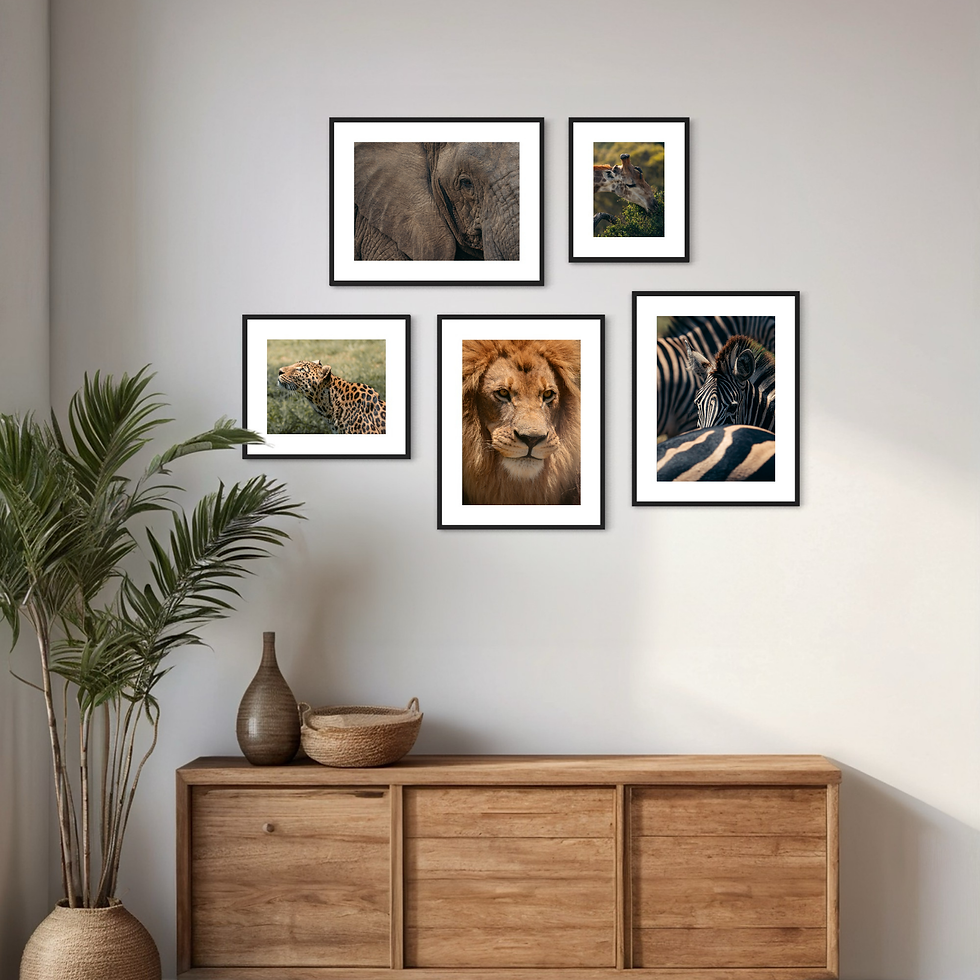 Miniaturbild: Wildlife Collection - Leopard III