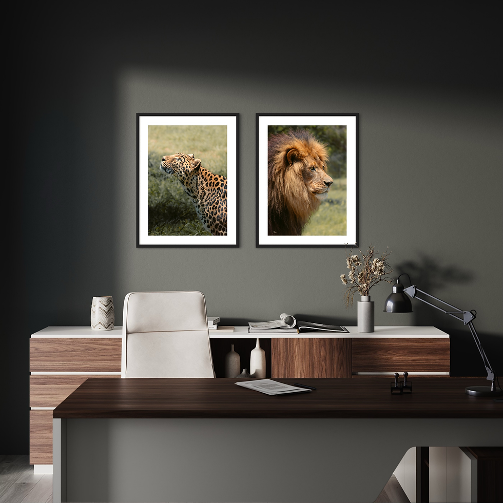 Miniaturbild: Wildlife Collection - Lion III