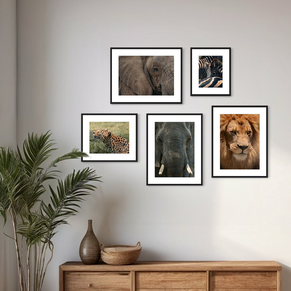 Miniaturbild: Wildlife Collection - Elephant I