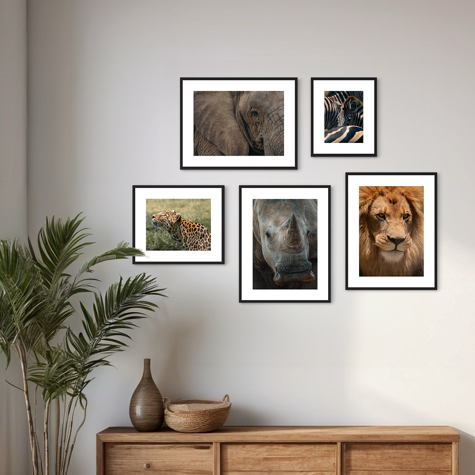 Miniaturbild: Wildlife Collection - White Rhino I