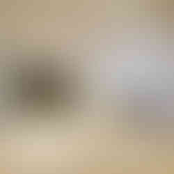 Image of the elegantly tiled lobby at Beaufort Park, showcasing ABM Tiling's work for main contractors in London.