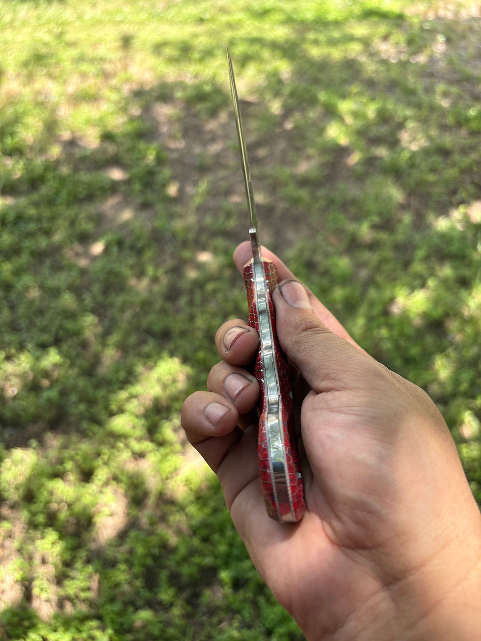 Thumbnail: USA-250 Redtail