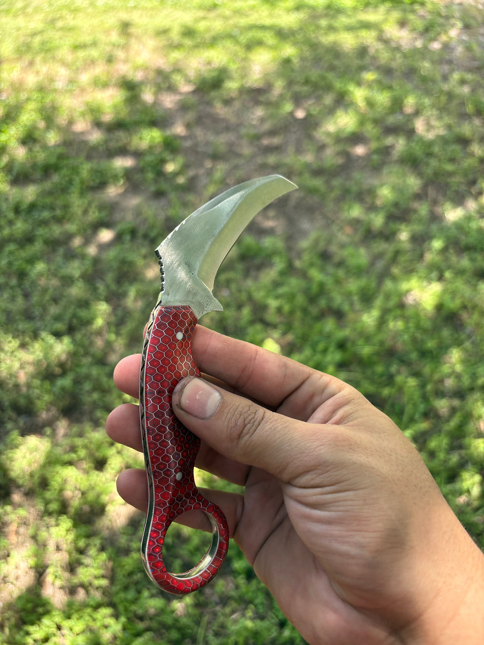 Thumbnail: USA-250 Redtail