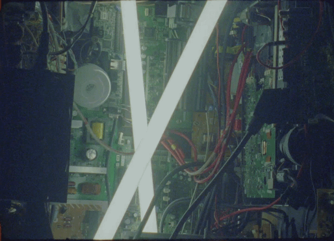 zayd page gif 1.gif