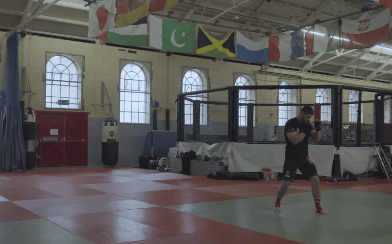heart of a fighter.gif