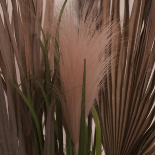 fashion edit.gif