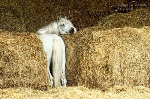 All Products My Site