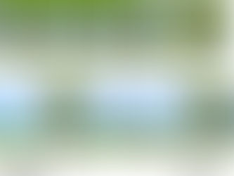 Mejorando nuestra cultura de servicio al cliente.