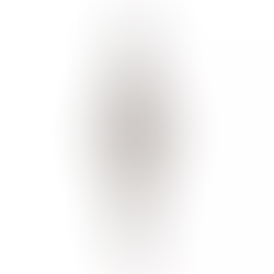 Hamilton H31151183 American Classic Quartz Women's Watch +Free Post $1,168 with best offers.