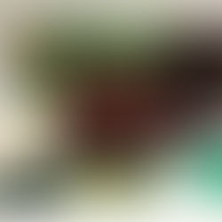 Rolex Day Date President 18388 Watch Box Set